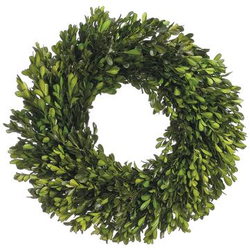 17" Preserved Boxwood Wreath  Green