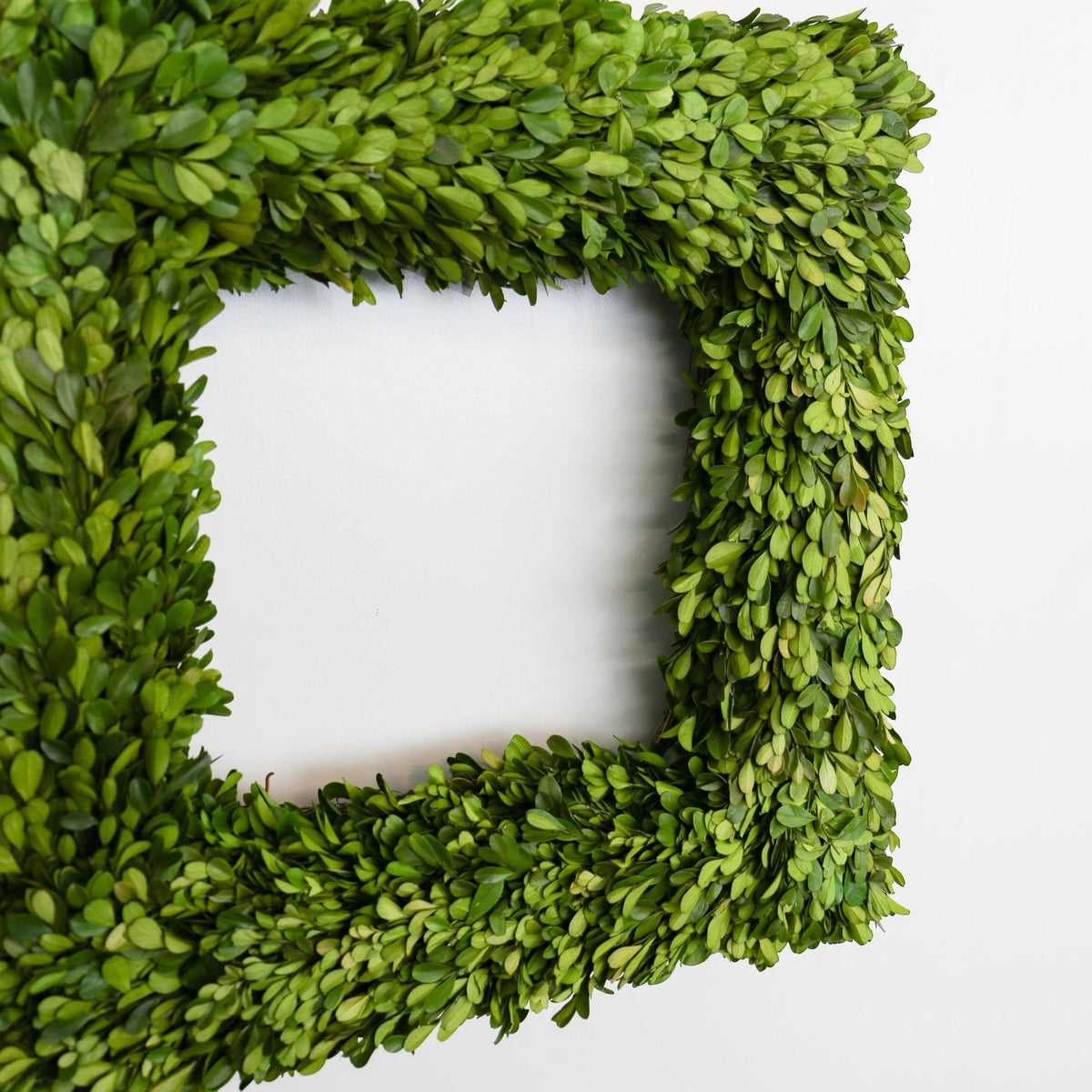 Square Preserved Natural Boxwood Wreath | 20 Inch