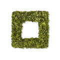 Square Preserved Natural Boxwood Wreath | 20 Inch