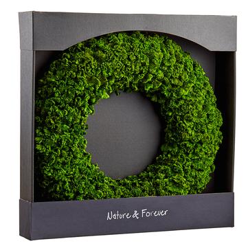 Preserved Celosia Green Wreath | 21-inch