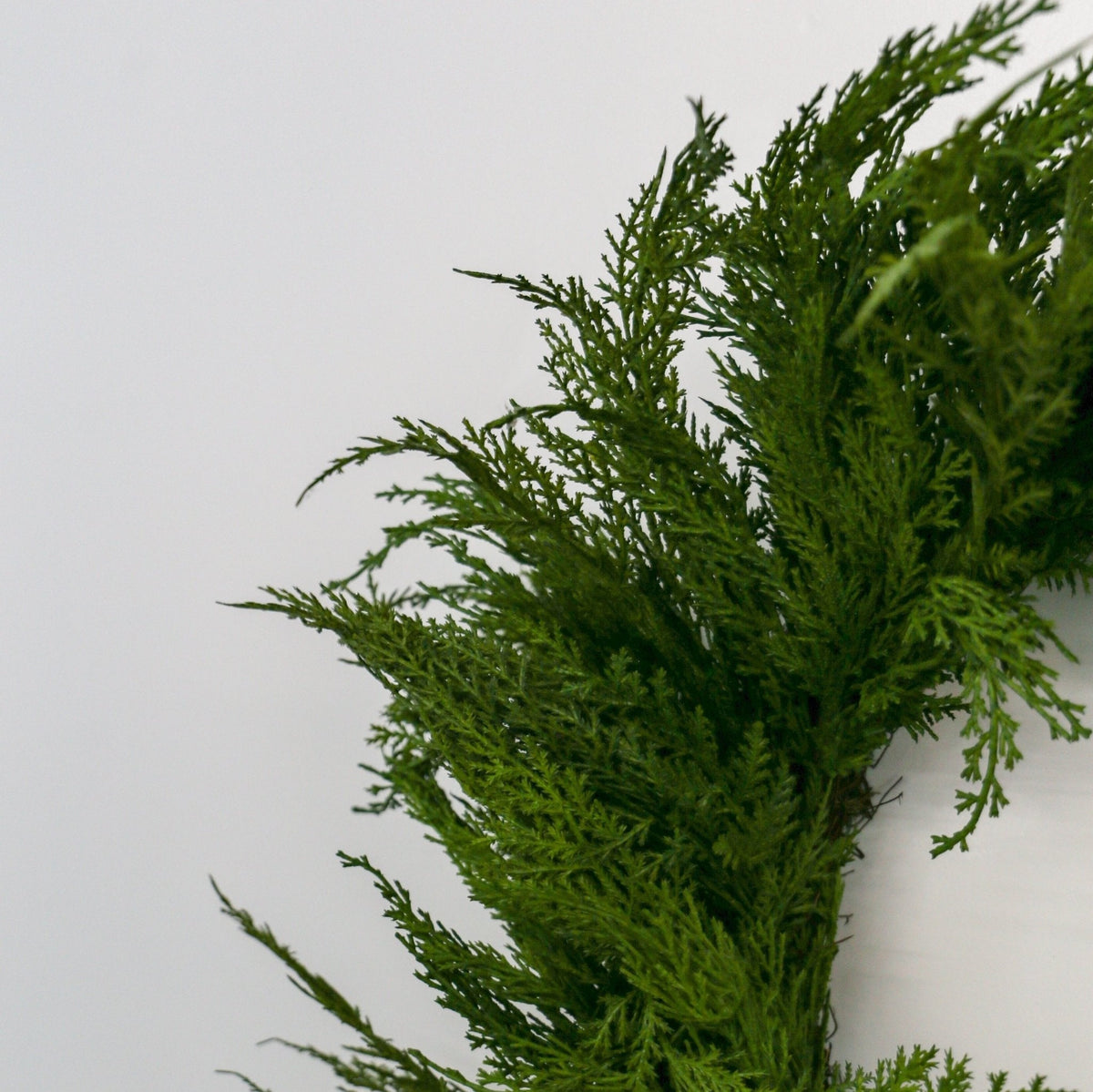 Faux Cedar Wreath | Small | 24-inch