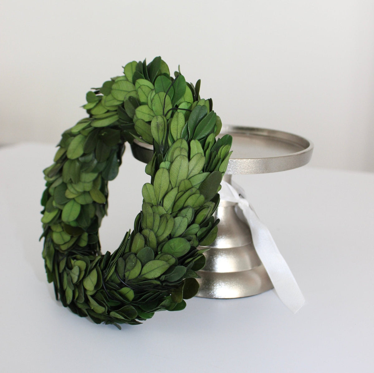 Small Preserved Boxwood Wreath | 6-inch