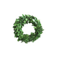 Small Preserved Boxwood Wreath | 6-inch