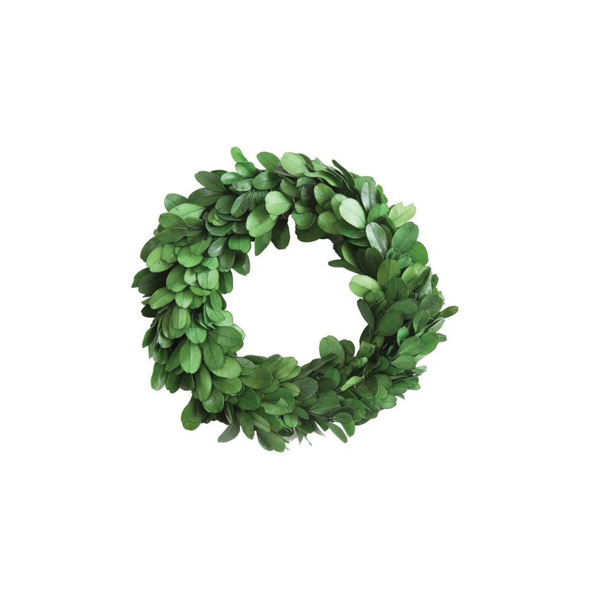 Small Preserved Boxwood Wreath | 6-inch