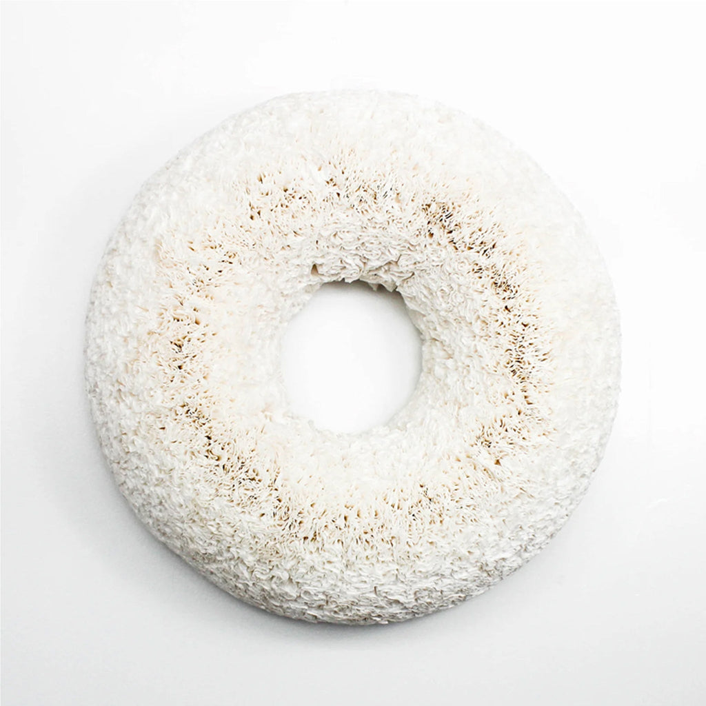 White Coffee Filter Wreath