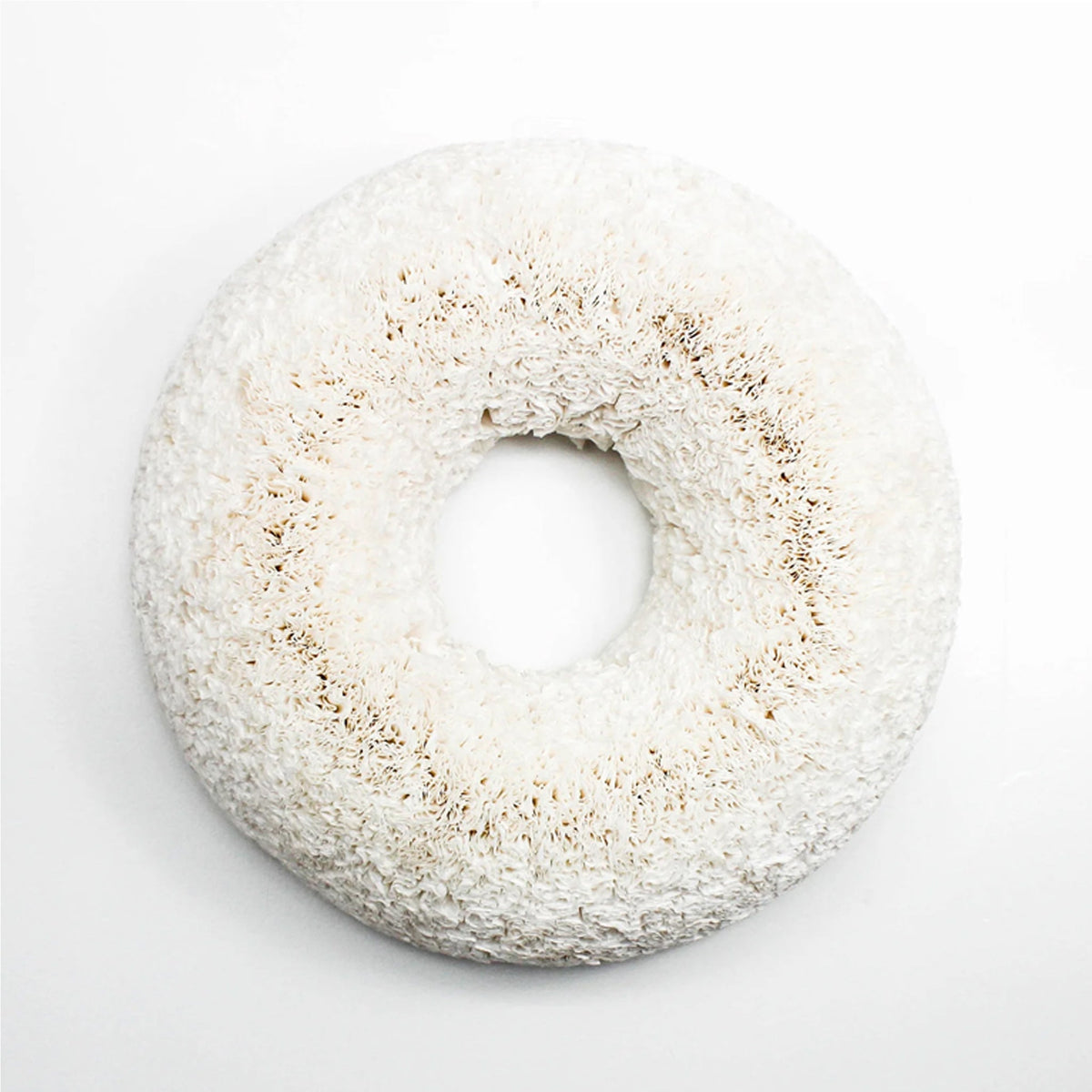 White Coffee Filter Wreath